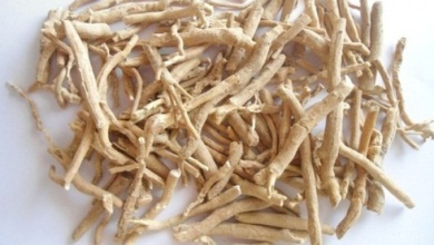seed_lac