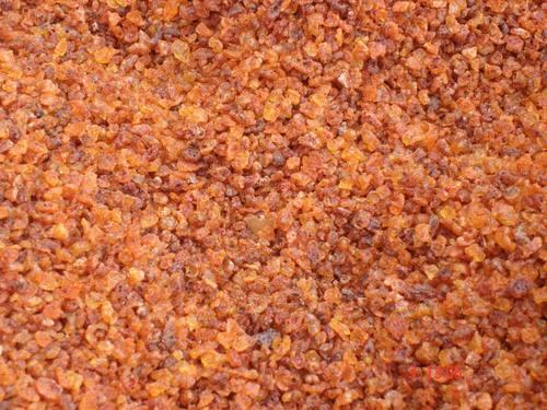 seed_lac